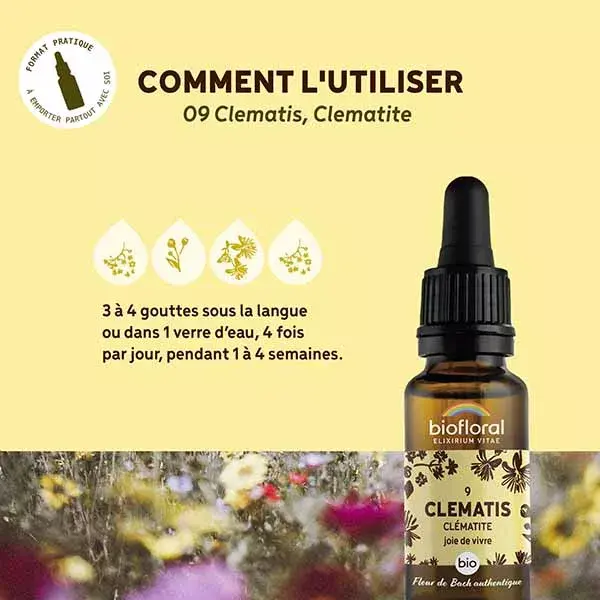 Florais de Bach Biofloral 09 Clematis Clematis Dropper Orgânico Demeter 20 ml