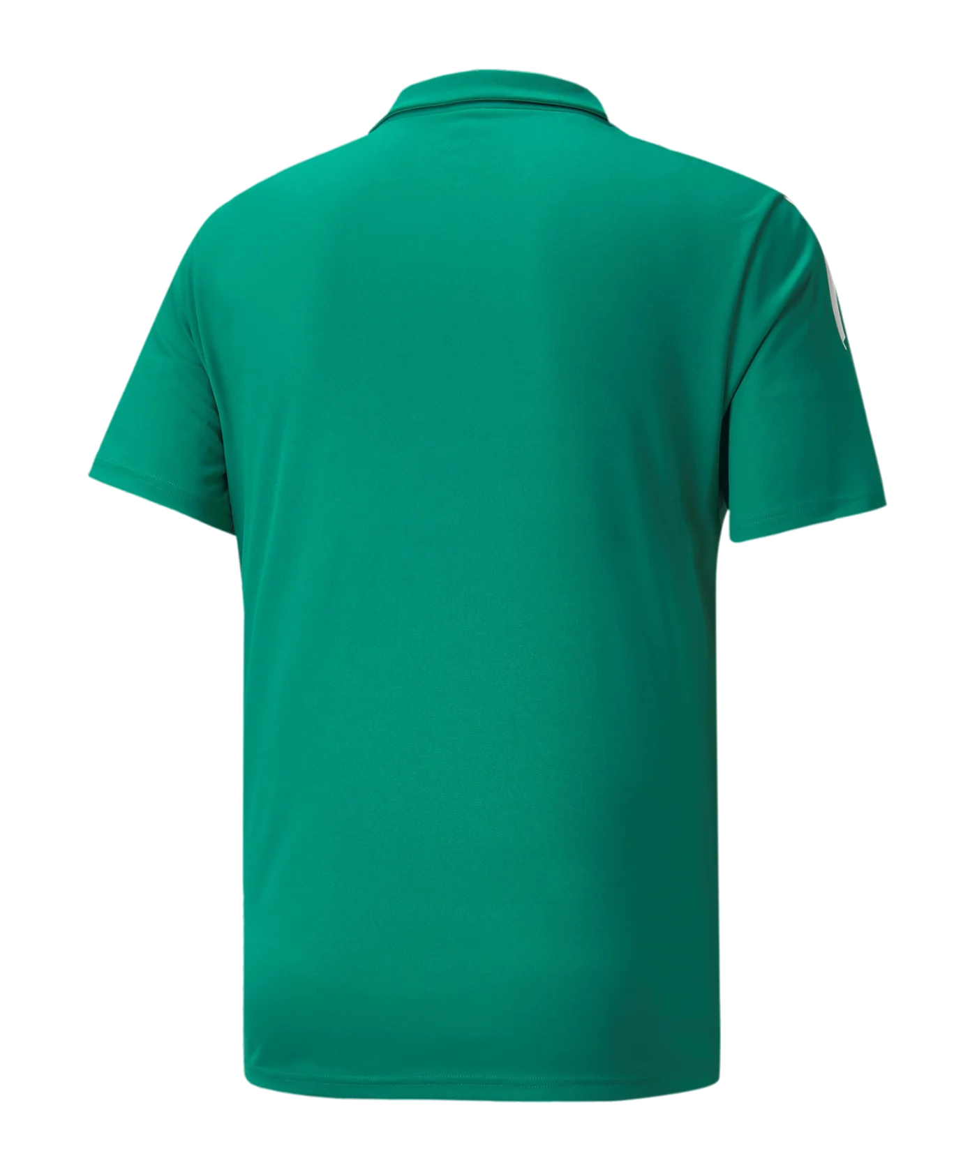 PUMA teamLIGA Sideline Polo Grün Weiss F05