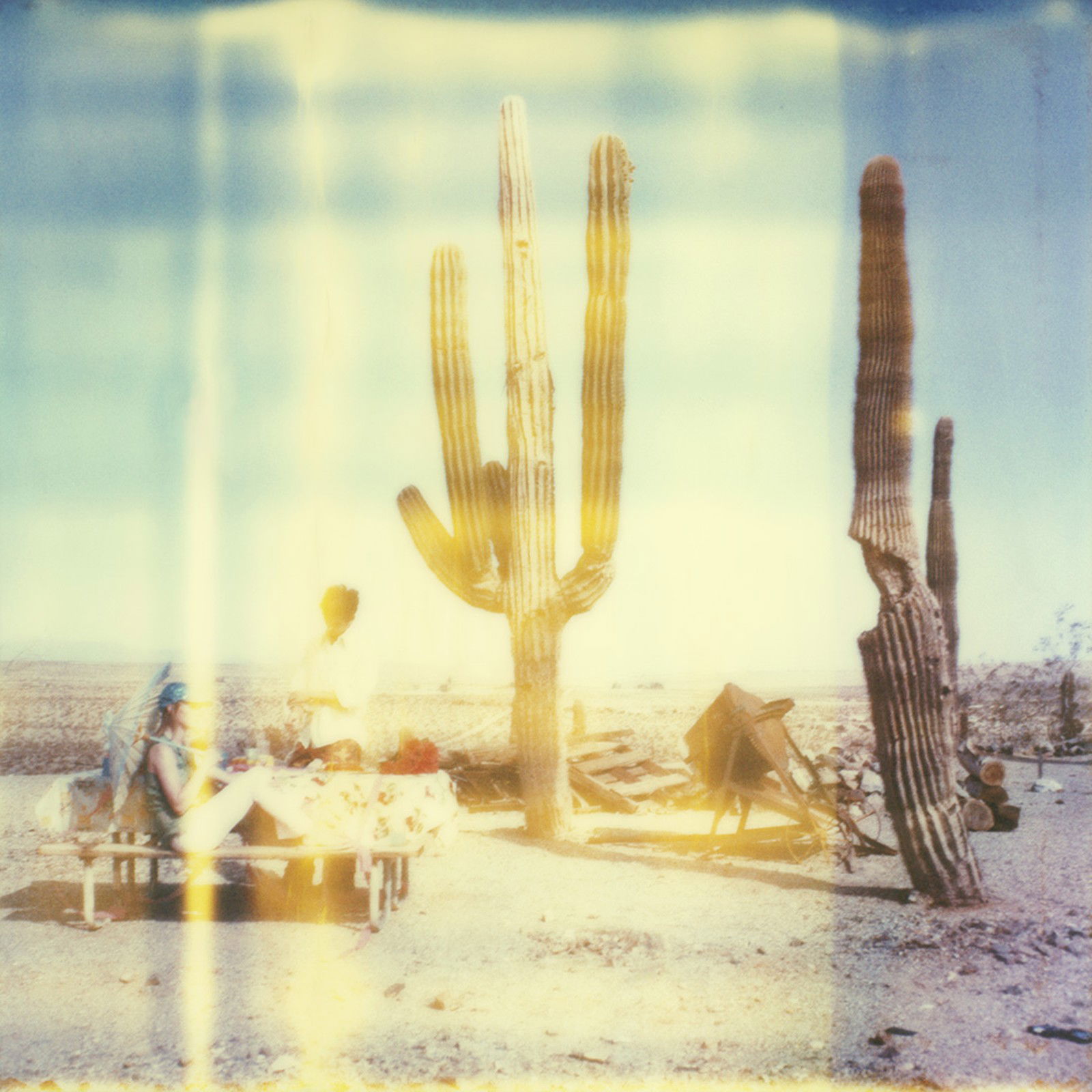 Dreams Twilight by Stefanie Schneider - Limited Edition. Edition of: 150. Signed.