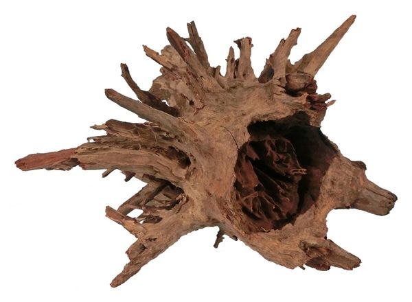 HS Aqua Corbo-Root L 40-60cm