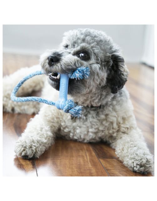 Kong Goodie Bone Met Touw Puppy - Hondenspeelgoed - 8 cm Assorti Xsmall