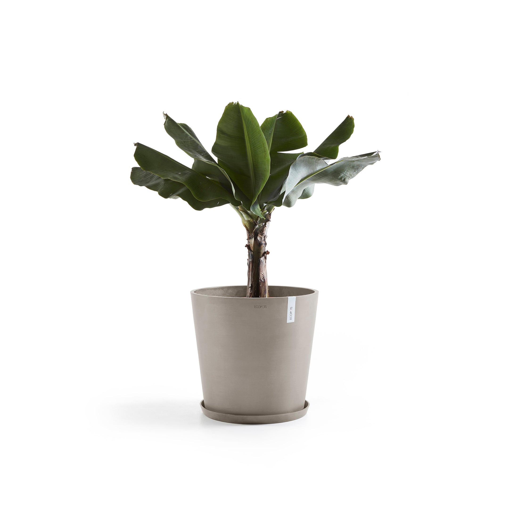 Ecopots Amsterdam Bloempot Ã 60 cm - Taupe