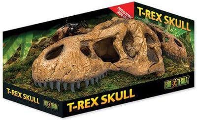 Skjul Tyrannosaurus-hodeskalle, 22 x 8 x 9,5 cm