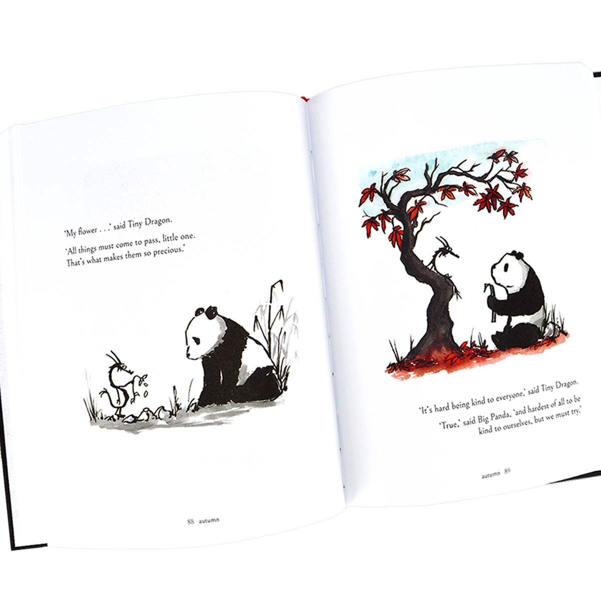 Big Panda and Tiny Dragon (Hardback)