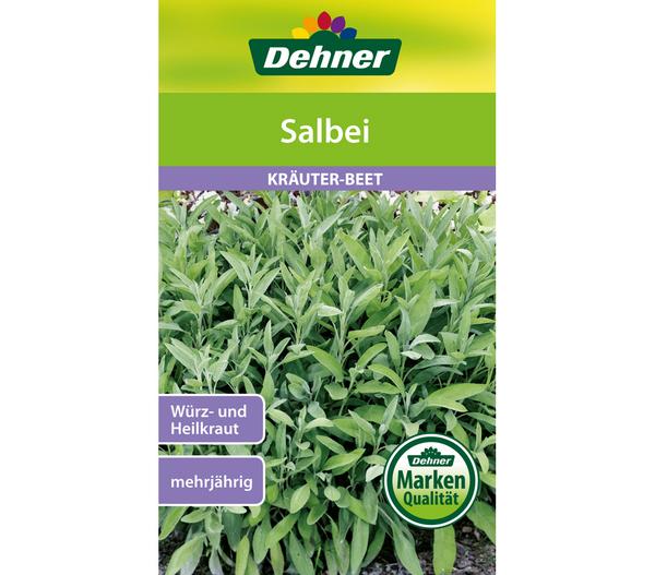 Dehner Samen Salbei