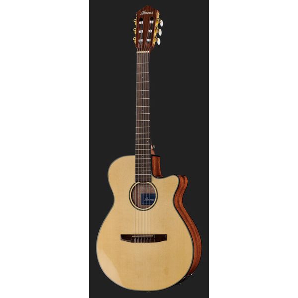 Ibanez AEG50N-NT Nylon