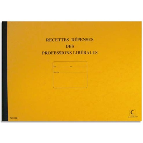 Piqûre journal recettes et dépenses des professions libérales - Elve 97381 - 80 pages - Format 27 x 37 cm à l'italienne