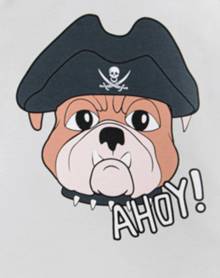 Langarmshirt DOG in grey