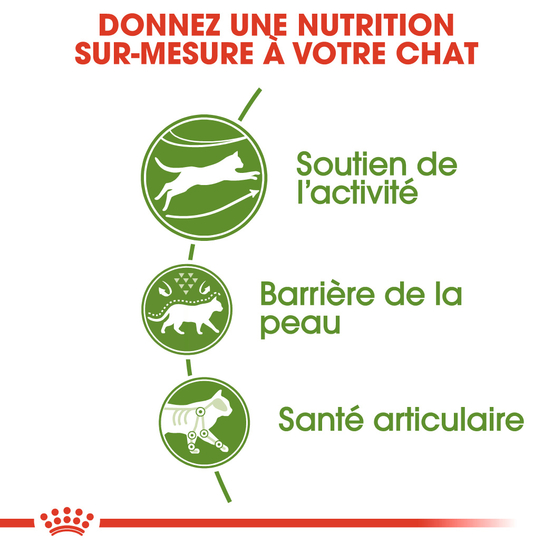 Croquettes chat d'extérieur outdoor de 1 à 7 ans 10kg