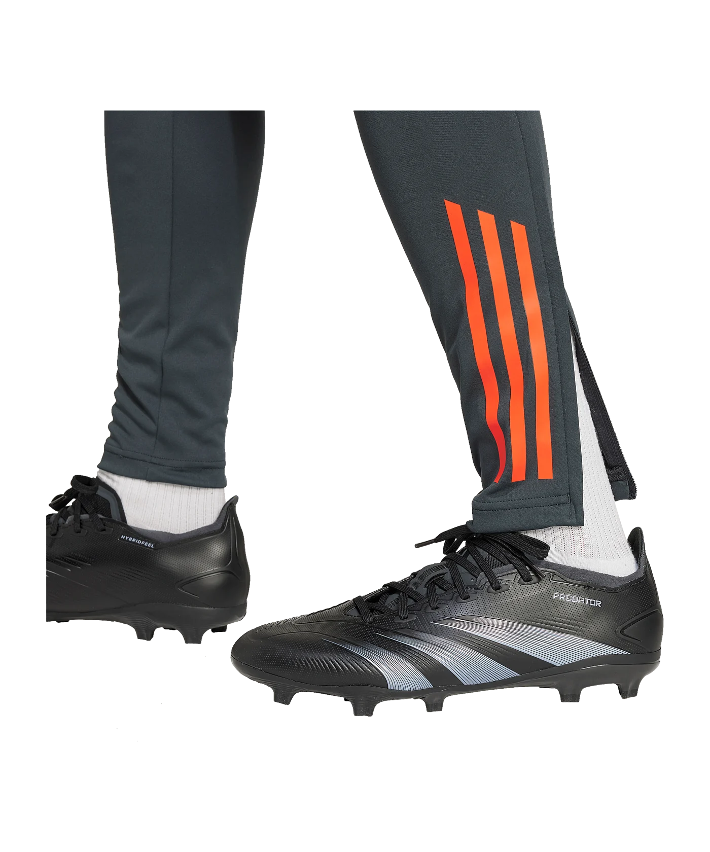 adidas Benfica Lissabon Trainingshose Grau