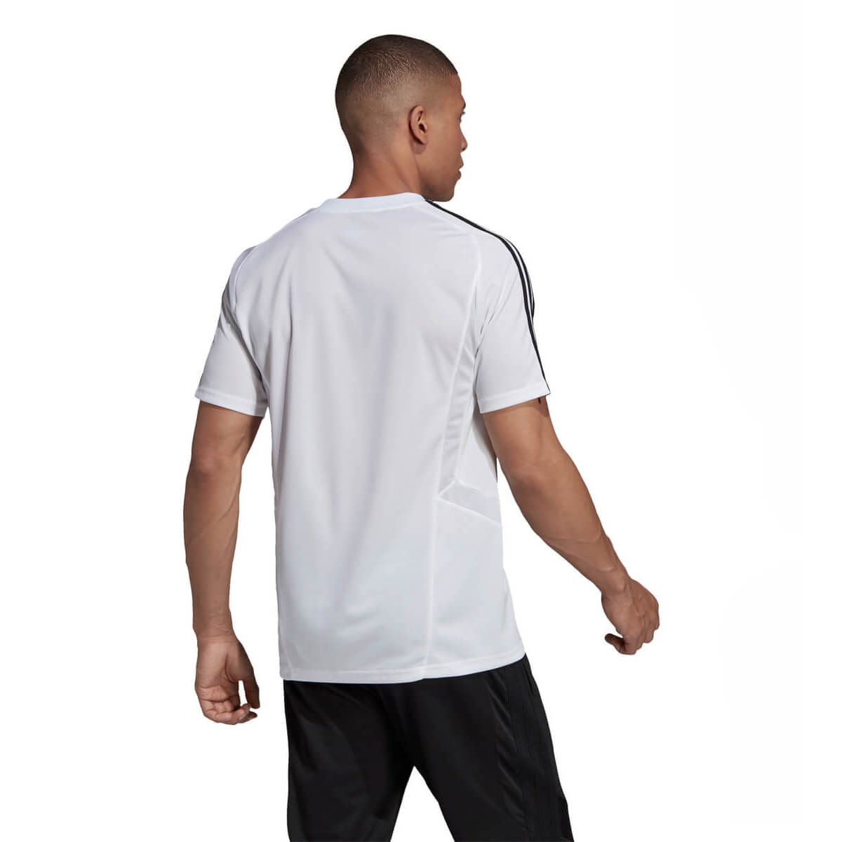 adidas Tiro 19 Trænings T-shirt Herre