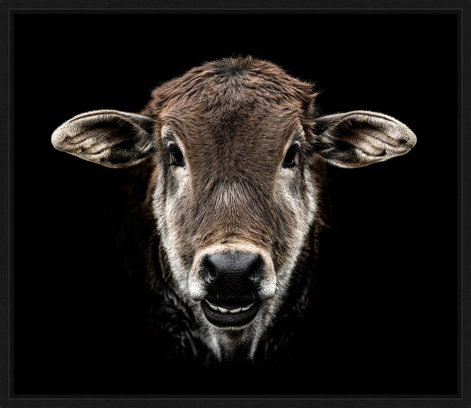 Aruna by Claudio Gotsch - Limited Edition. Edition of: 150. Signed.