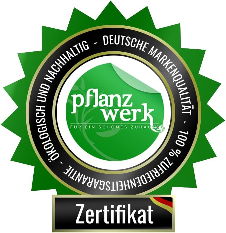 Pflanzwerk® Pflanzkübel Divider Anthrazit 72x60x25cm *Frostbeständiger Blumenkübel* *UV-Schutz* *Qualitätsware*