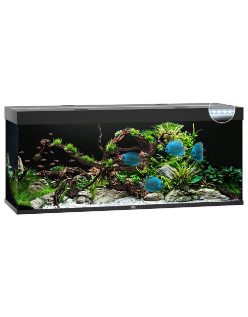Juwel Aquarium Rio 450 Led - Aquaria