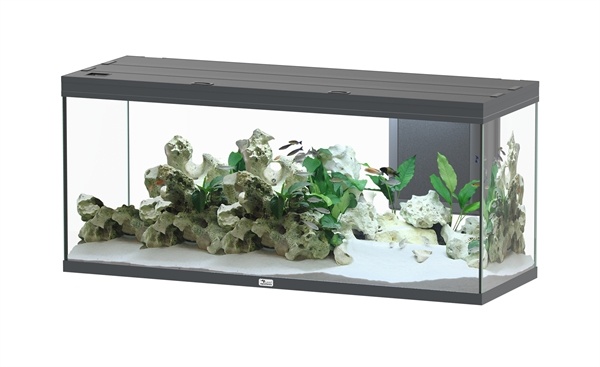 Aquatlantis Aquarium Splendid 150x50 Ultra Biobox