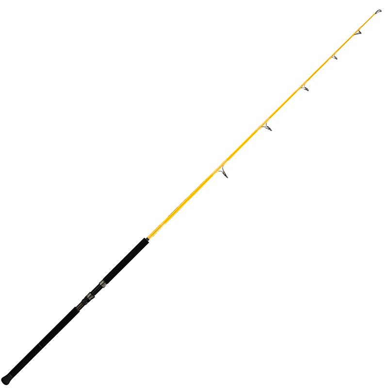 Canne Spinning Illex Element Rider S 220 Xxh Thunder Sword