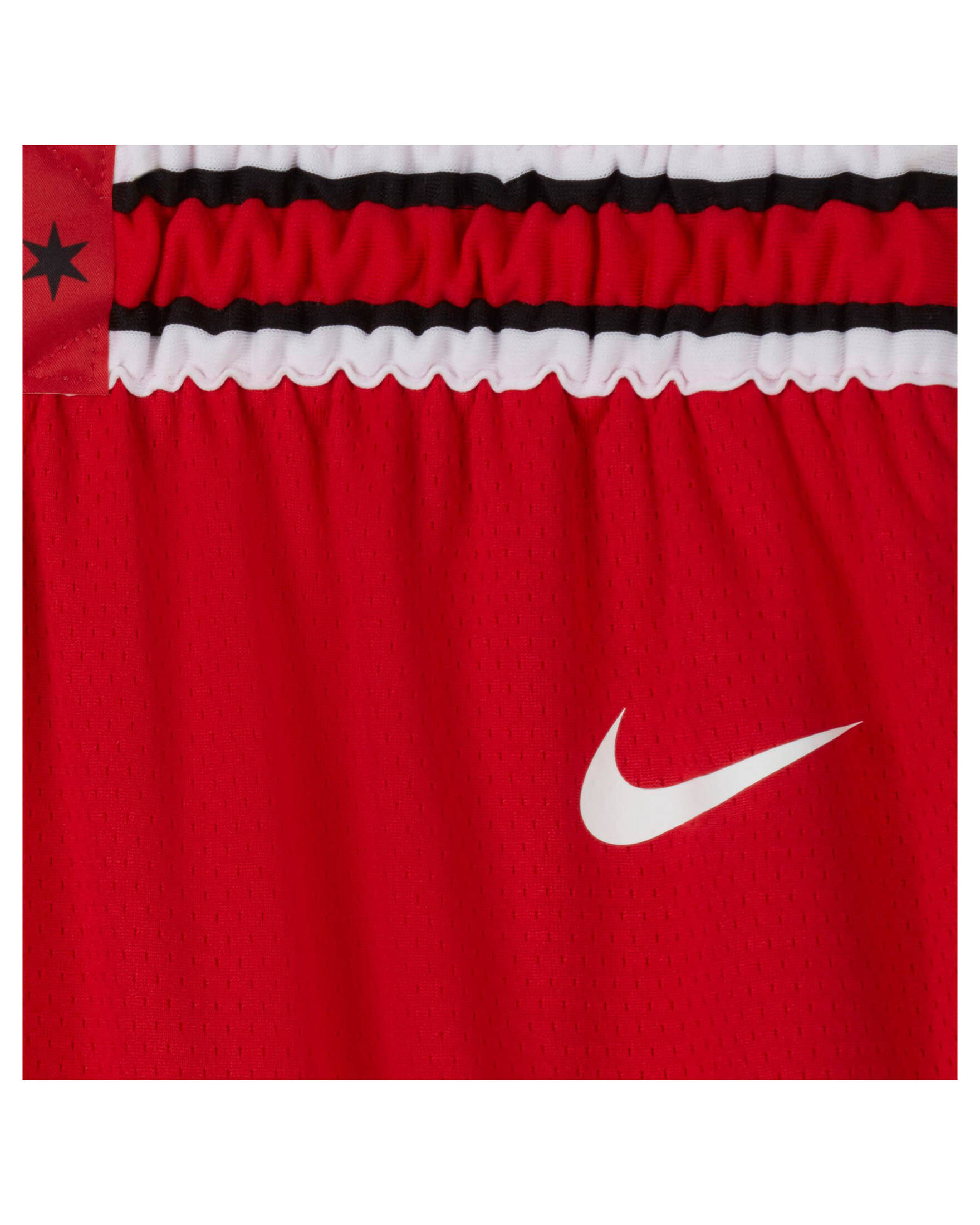 Nike| Herren Basketballshorts NBA CHICAGO BULLS ICON EDITION