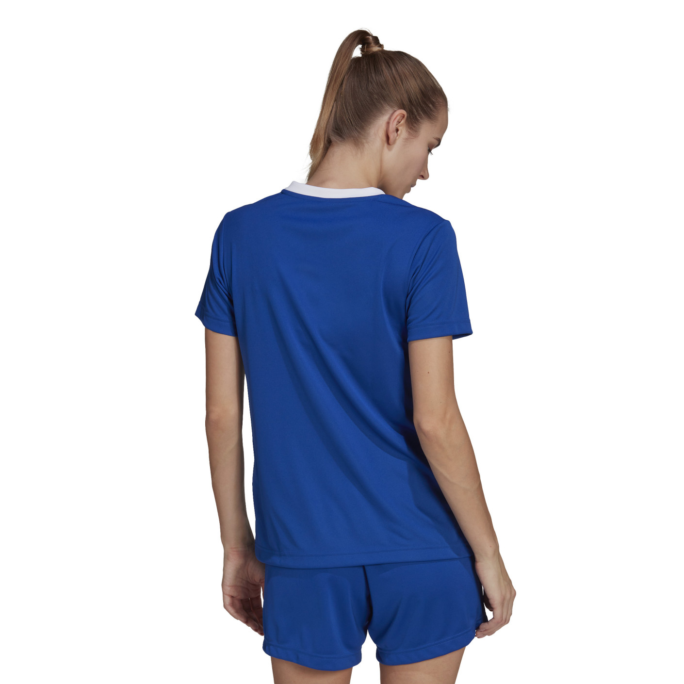 Adidas Entrada 22 Voetbalshirt Dames Blauw Wit