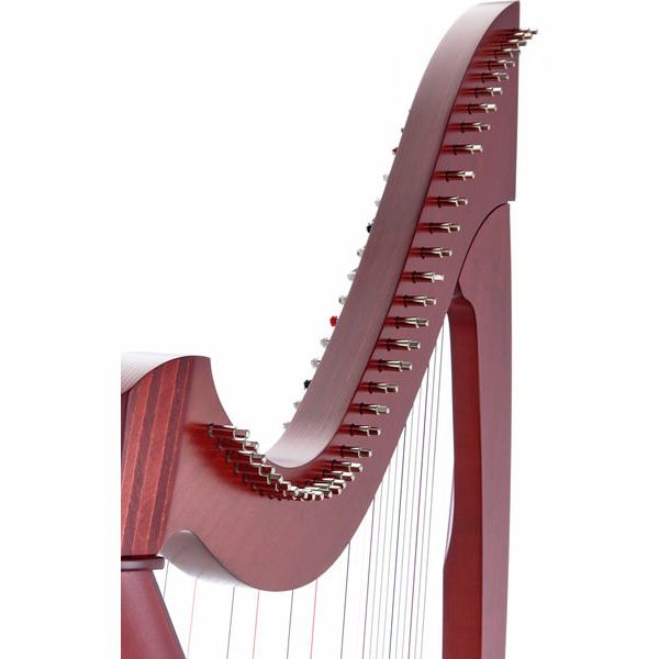 Salvi SALTIT-MSS Titan Mahogany