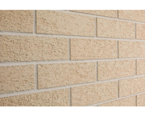 Elabrick gevelsteen Napoli 24 x 7,1 cm buiten
