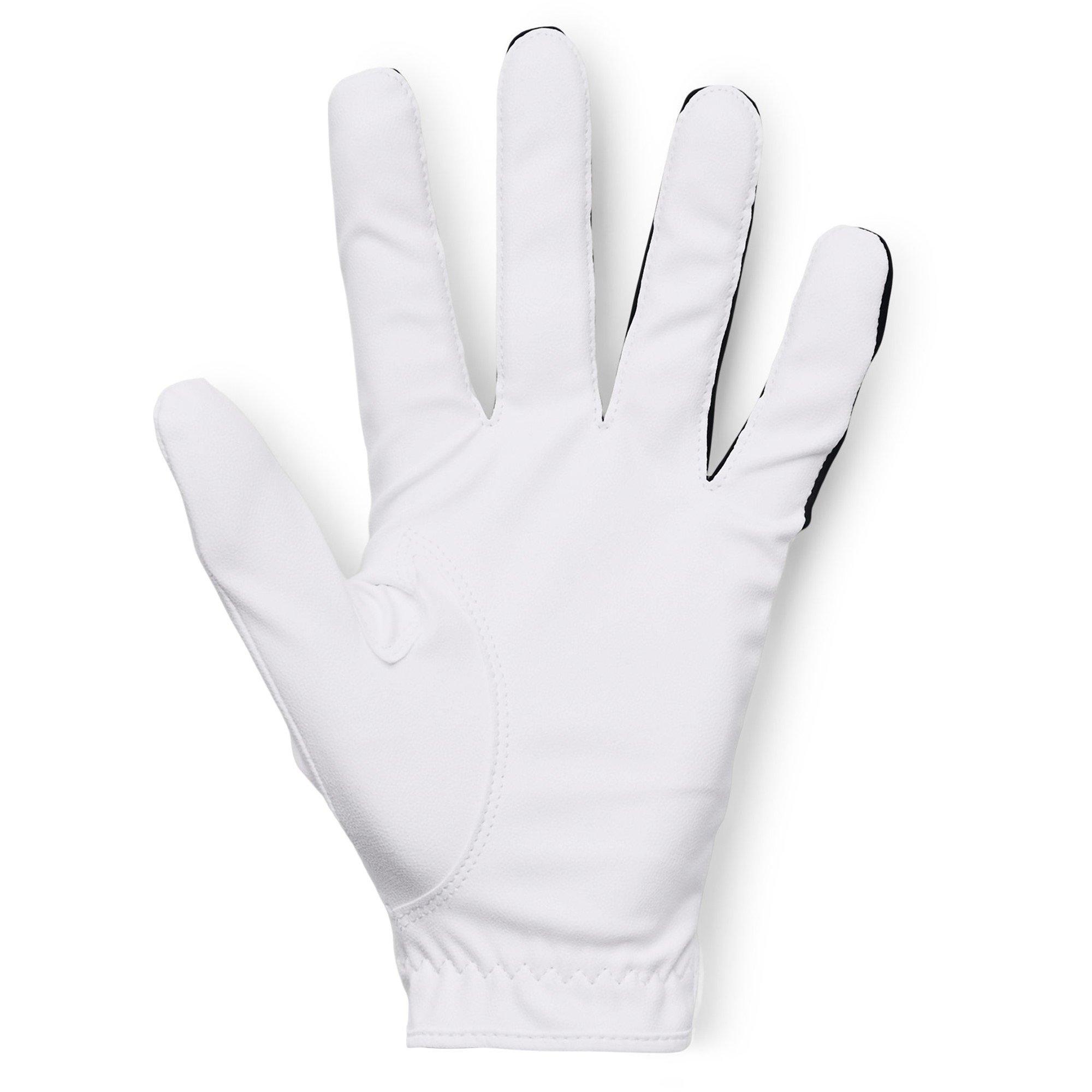 Under Armour UA Iso Chill Golf Glove Mens