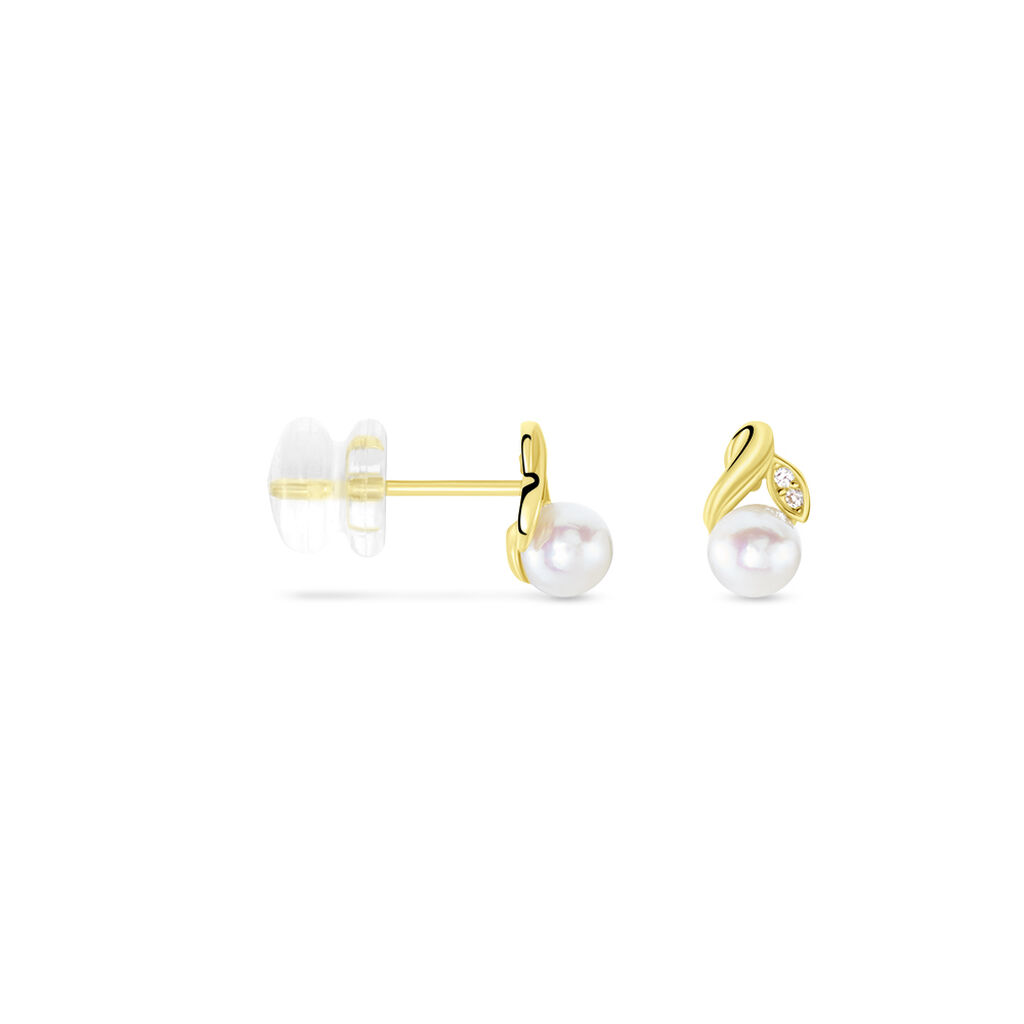 Boucles D'oreilles Puces Astragalus Or Jaune Perles De Culture