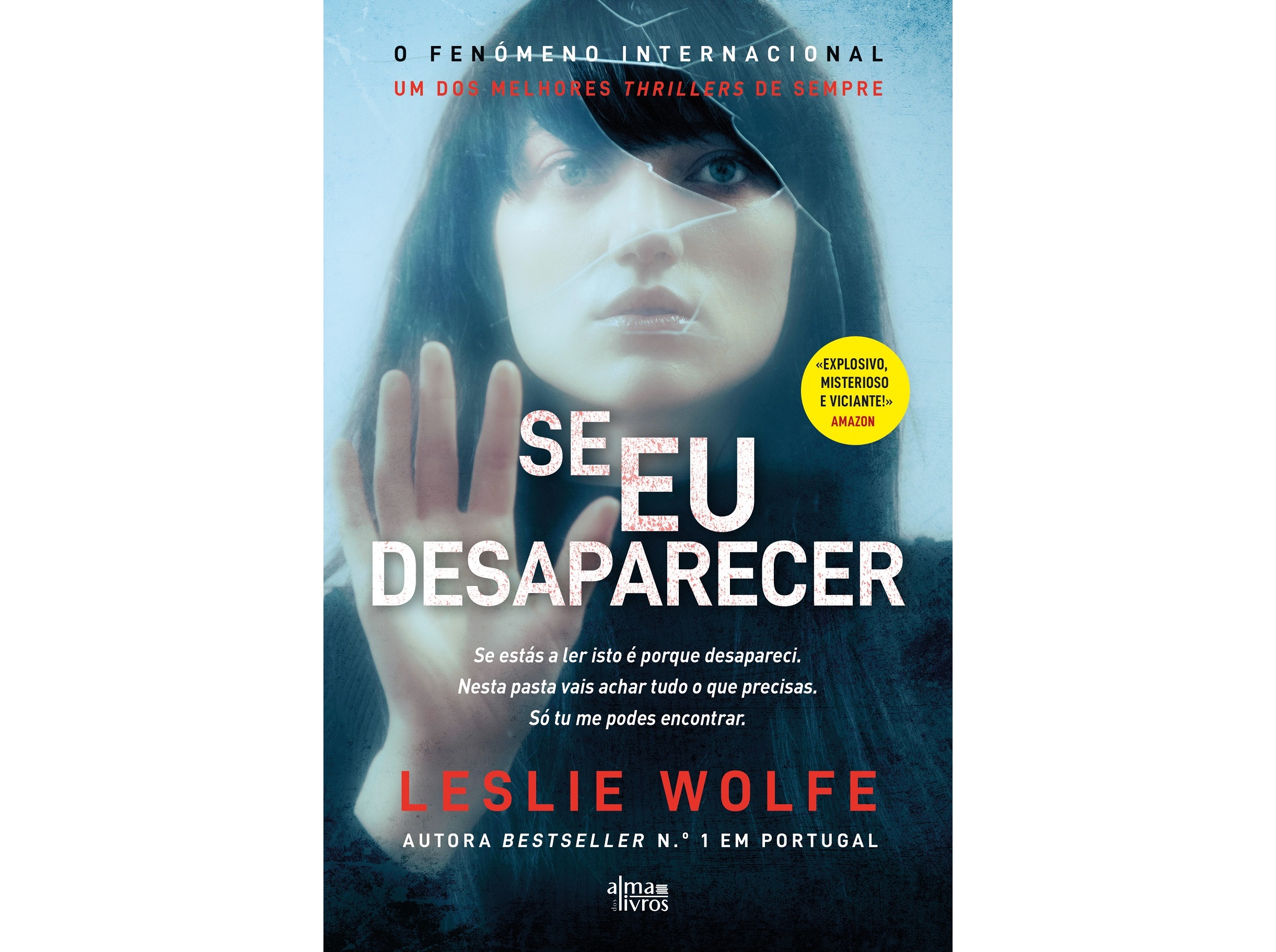 LIVRO SE EU DESAPARECER DE LESLIE WOLFE