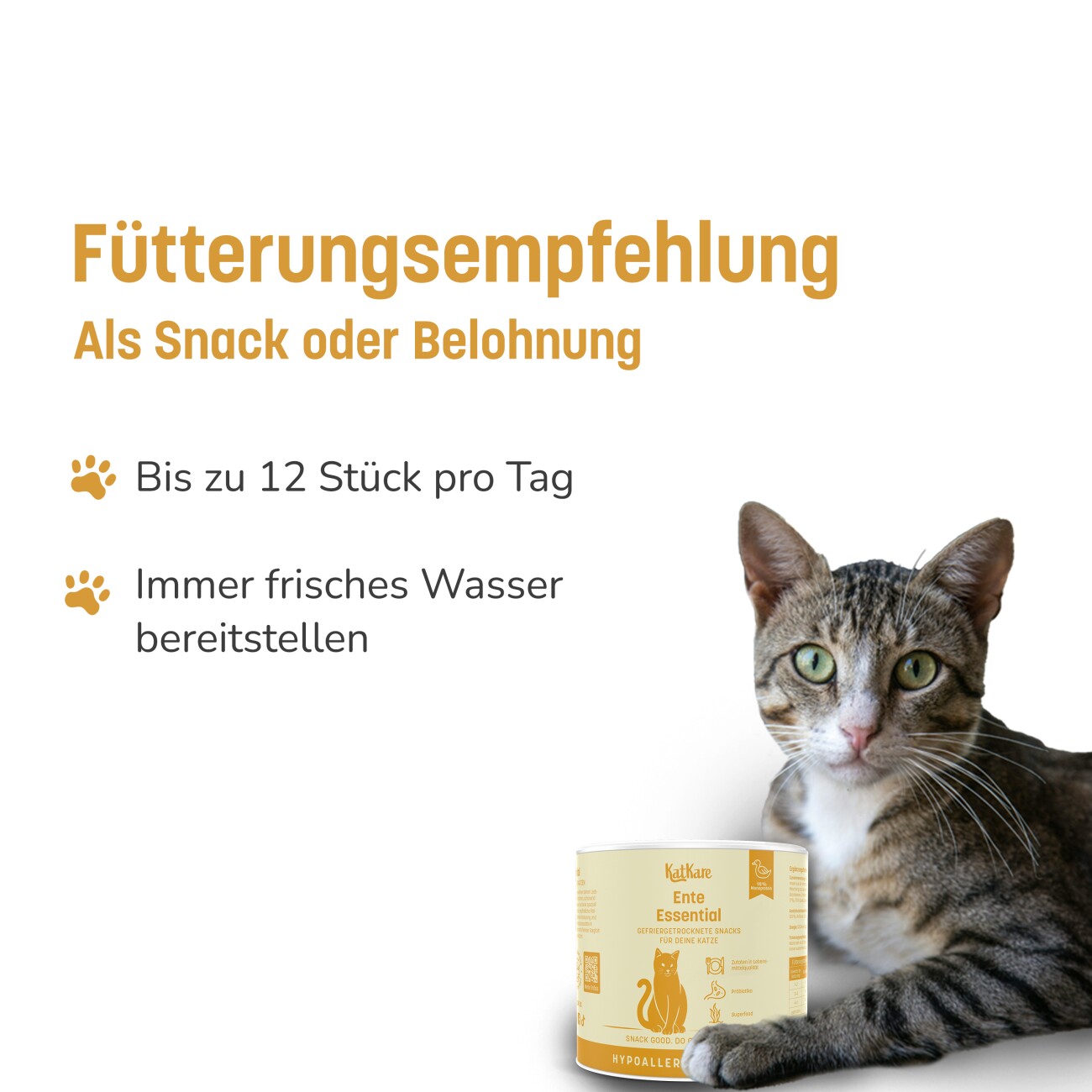 KatKare Hypoallergener Gefriergetrockneter Snack Ente Essential 70 g