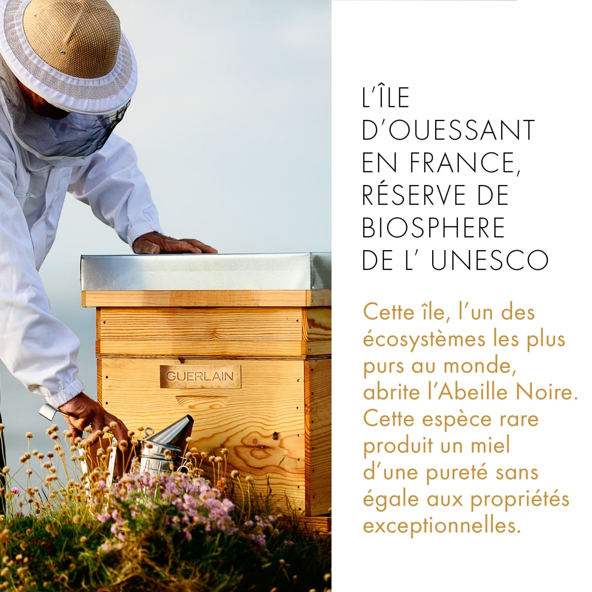 GUERLAIN Abeille Royale Baume Réparateur Jeunesse Des Mains
