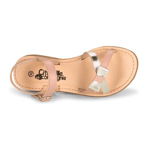 Citrouille et Compagnie - JISCOTTE - Rose/argent
