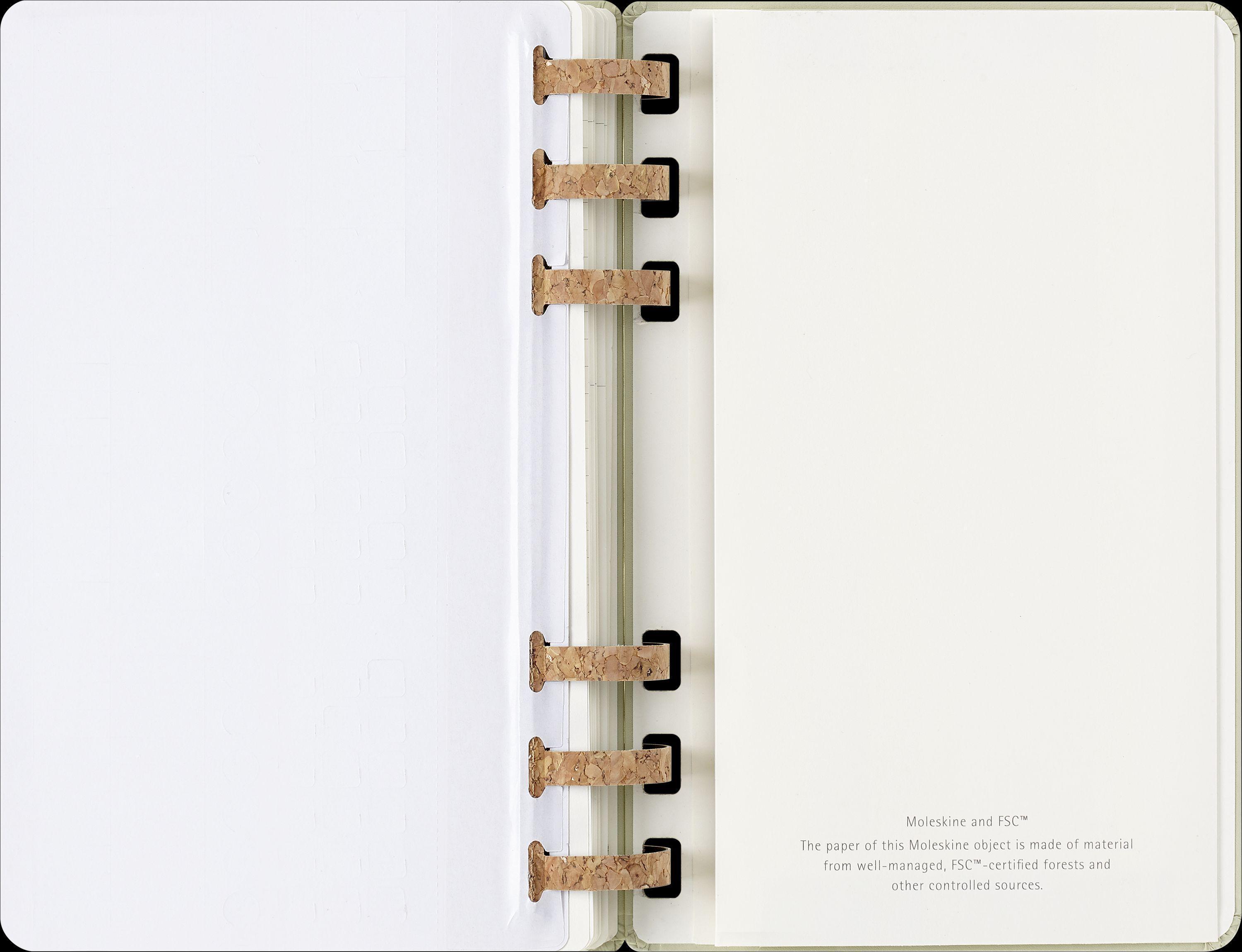 Moleskine 12 Monate Planer mit Spiralbindung, L/A5