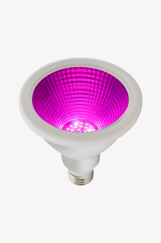 Plantelampe Grow LED 12W, Ø 9,6 cm