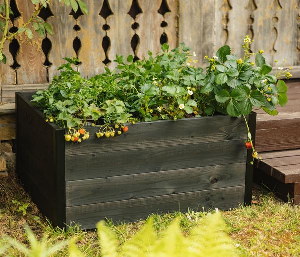 Upyard Holz-Hochbeet GardenBox I-Box, ca.