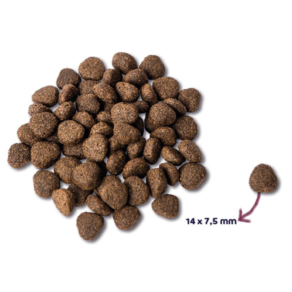 Renske Super Premium Adult Zalm Graanvrij2 kg