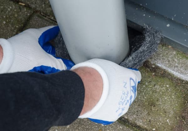 Knock Pest Rodent Defense