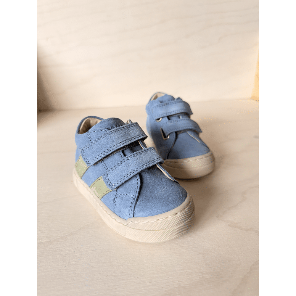 FALCOTTO - Sneaker met stootneus - Gazer