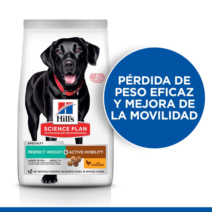 Plano de Ciências Hill's Peso Perfeito e Mobilidade Ativa frango pienso para cães