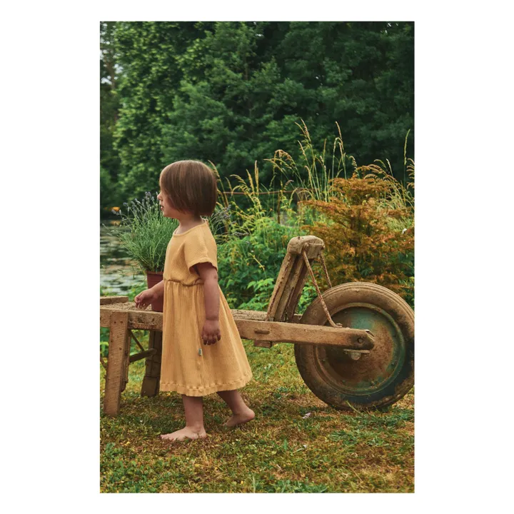 Poudre Organic Robe Dahlia Côtelée | Miel