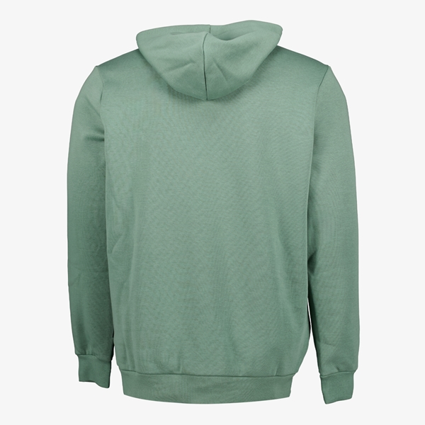 Puma Essentials Small Logo heren hoodie groen