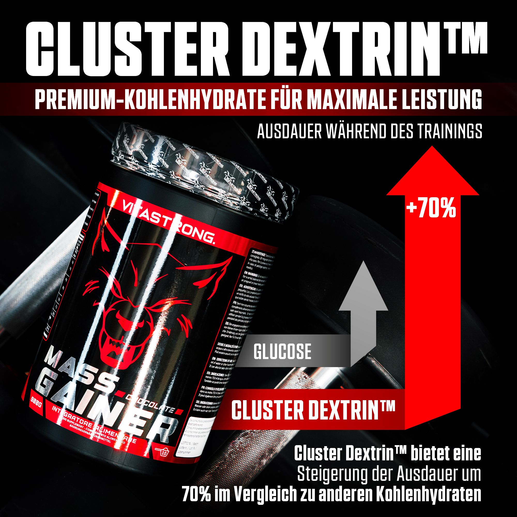 Vitastrong Mass Gainer