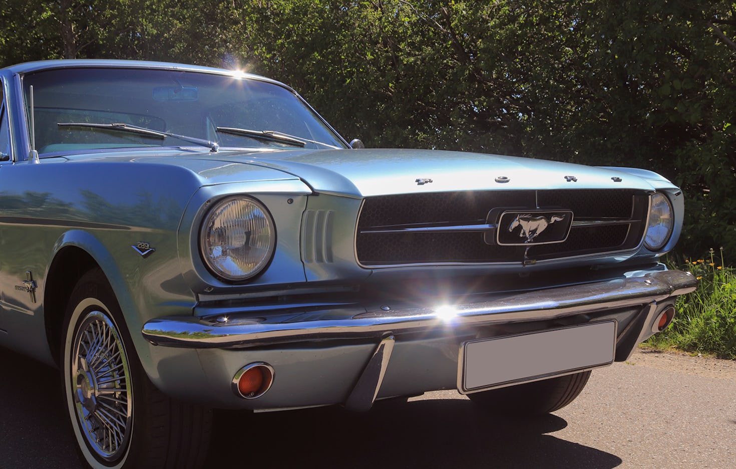 Ford Mustang mieten Wees