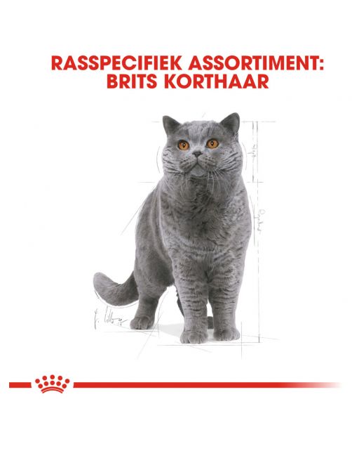 Royal Canin British Shorthair Adult - Kattenvoer