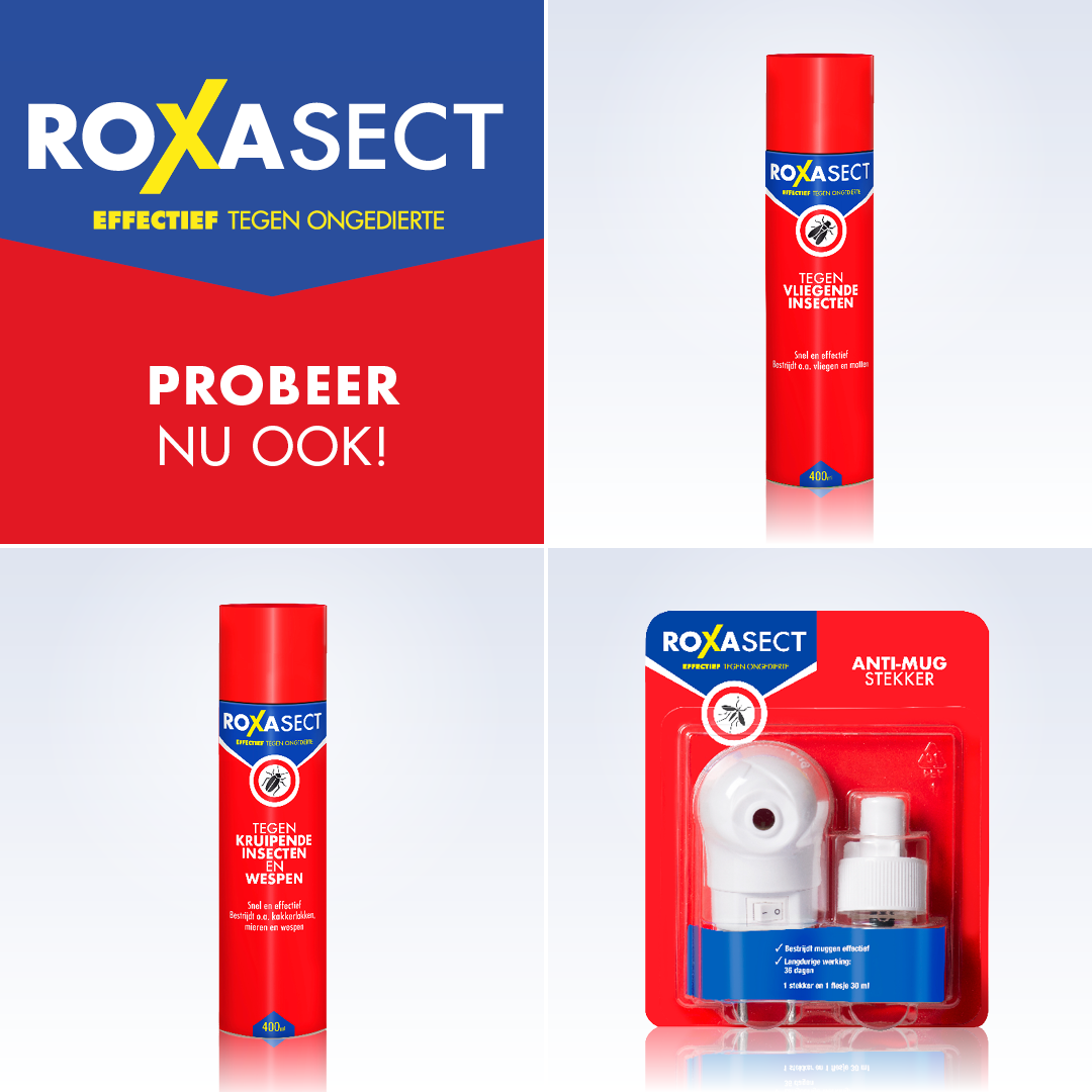 Roxasect Fruitvliegjes (1 stuk)