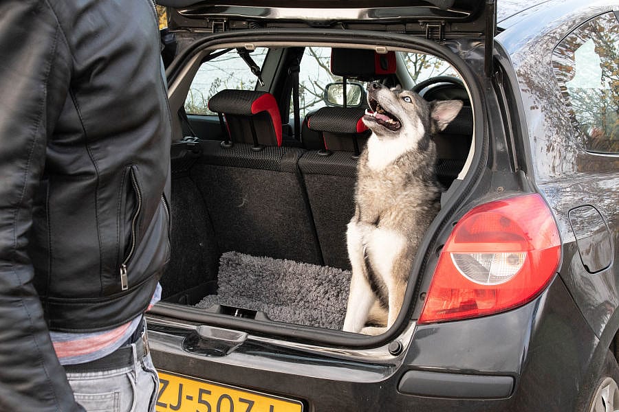 Royal Dry Droogloop deurmat Hond