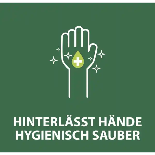 Flüssigseife Hygiene-Plus Family