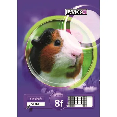 Landré Schulheft A5, rautiert, Liniatur 8, 16 Blatt, sortiert