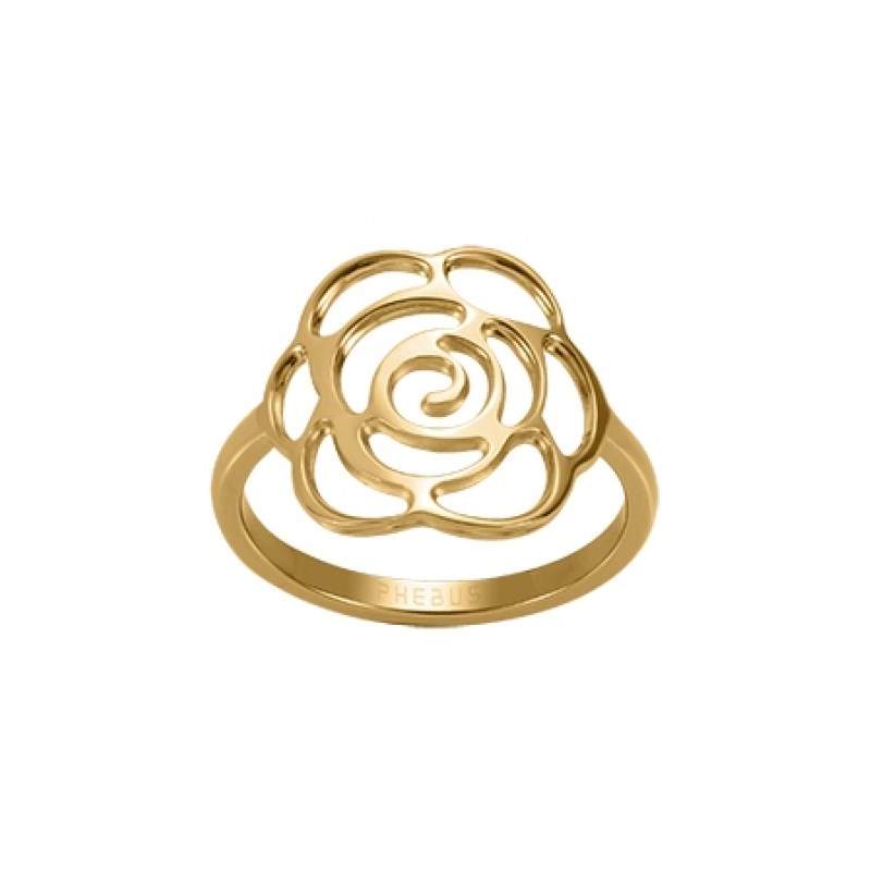 Bague en Acier