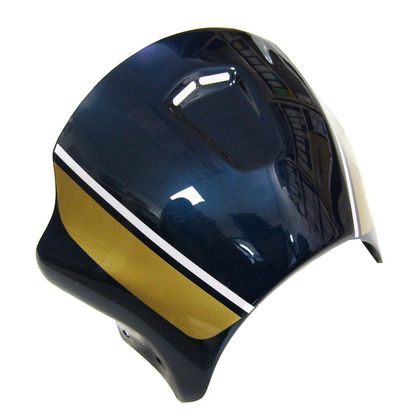Tête de fourche Ermax KAWASAKI Z 900 RS - Bleu / Blanc