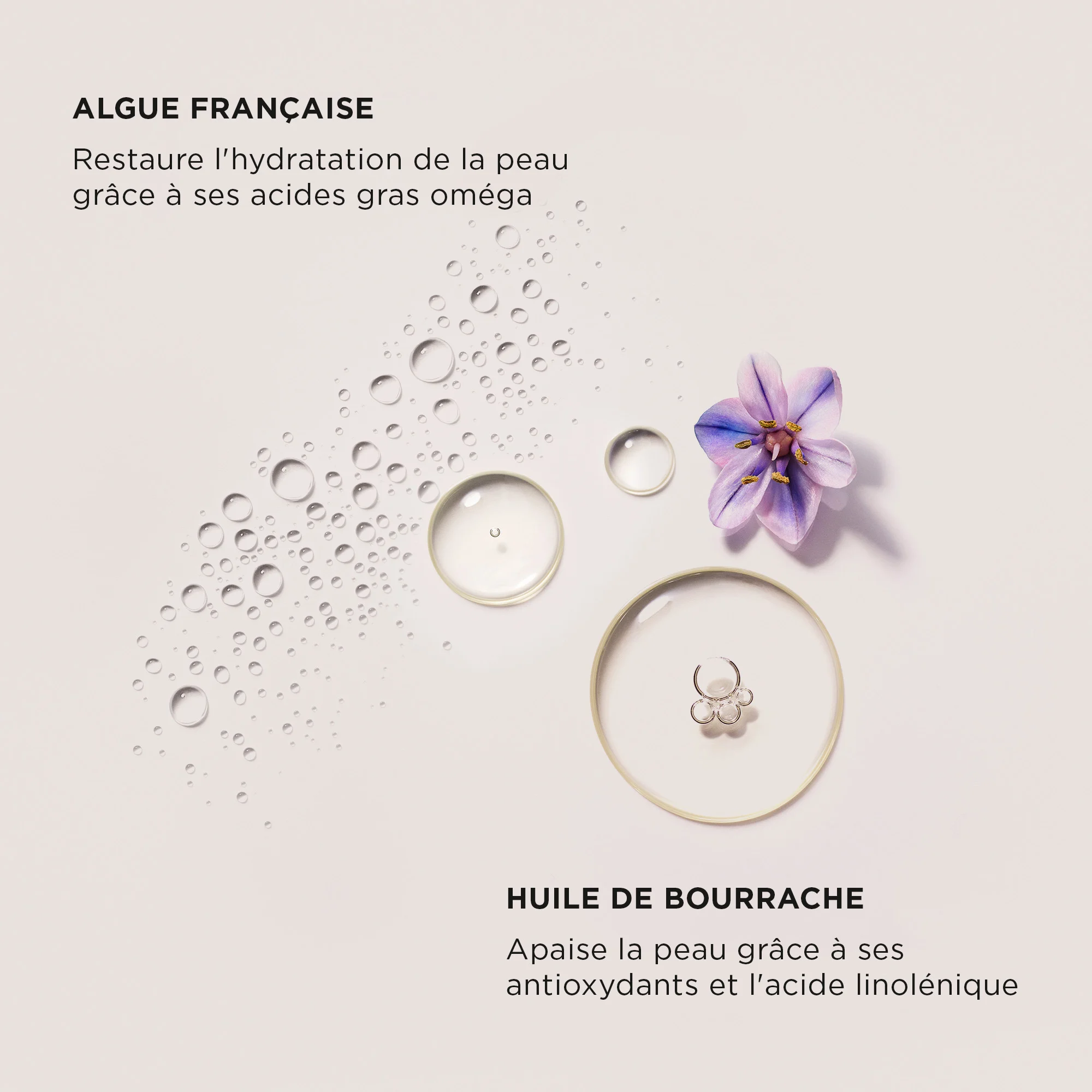 SERUM BODY CREAM - ALMOND COCONUT |