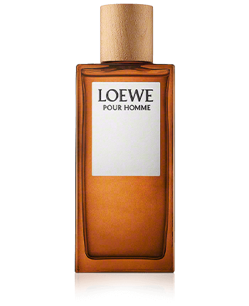 Loewe pour Homme edt vapo 100ml